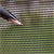 Stainless Steel Security Mesh